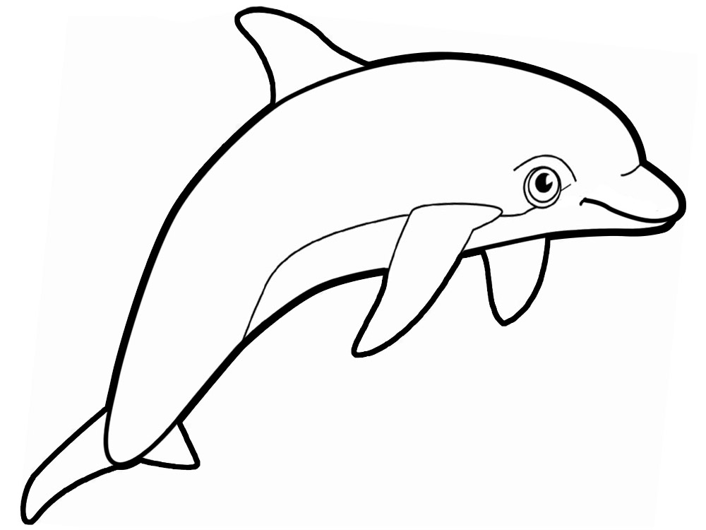 Дельфины детские раскраски для творчества