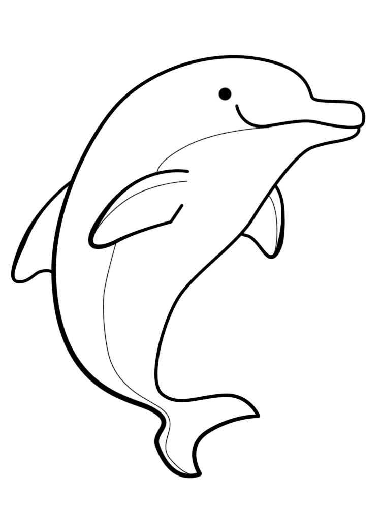 Раскраски для мальчиков с дельфинами