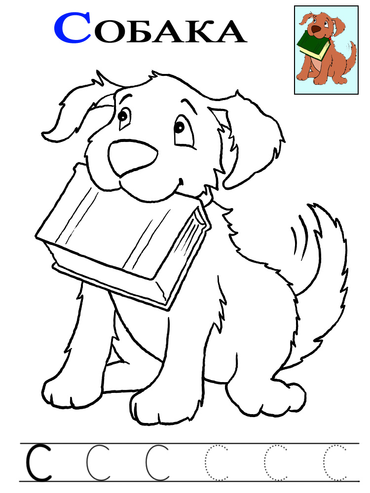 Картинка-раскраска с собакой и прописью на печатную букву С