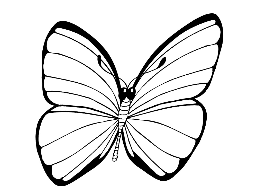 Раскрашиваем с ребенком черно-белые картинки бабочки
