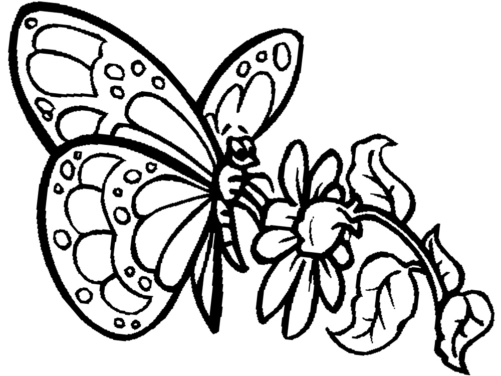Черно-белые картинки для девочек с бабочками