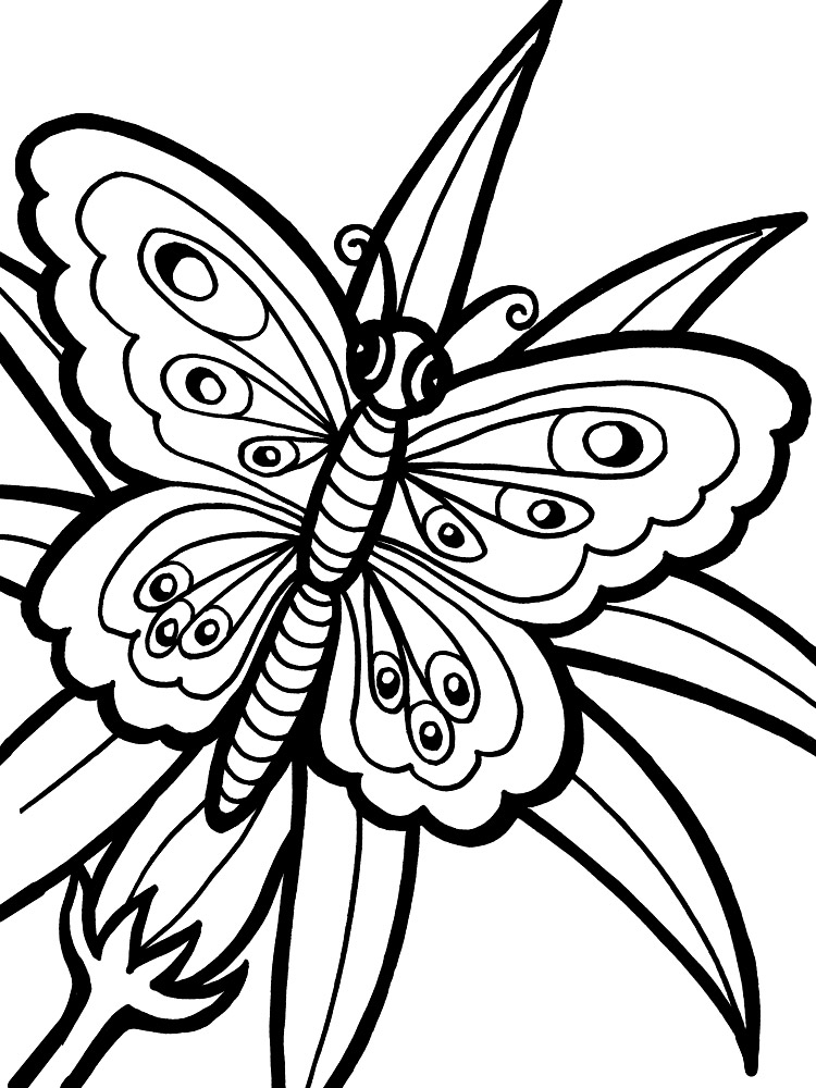 Бабочки - раскраски для самых маленьких